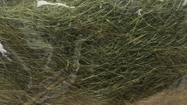 Sisal oliv